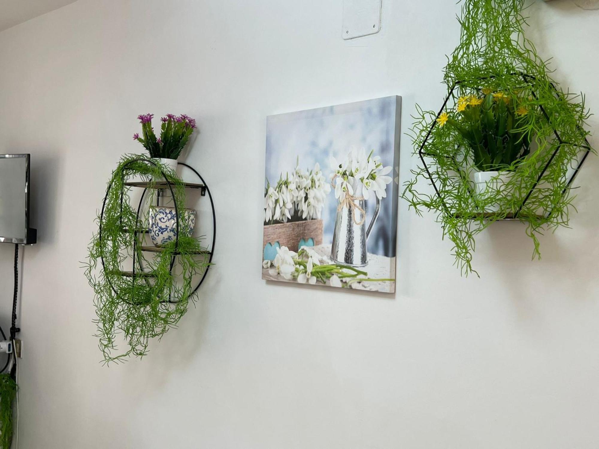 The Mistral Bed and Breakfast Scilla Εξωτερικό φωτογραφία